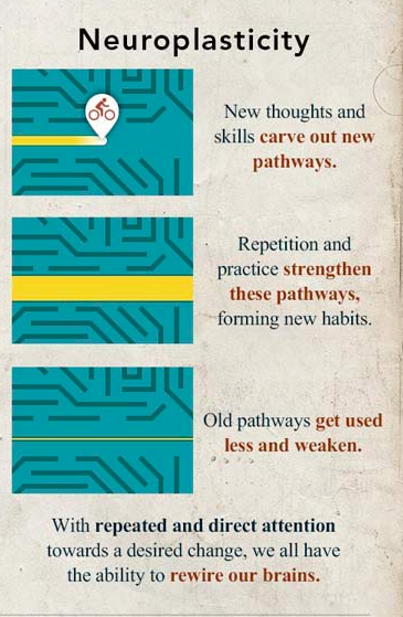 Photo Cred: http://www.diygenius.com/neuroplasticity-rewiring-your-brain-for-optimal-learning/